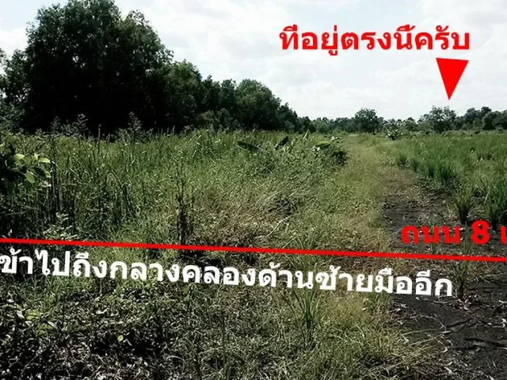 ขายที่ รังสิต คลอง11 ห่างถนนวงแหวน 500 เมตร 1ไร่ 850000บาท ผ่อนกับธนาคารได้