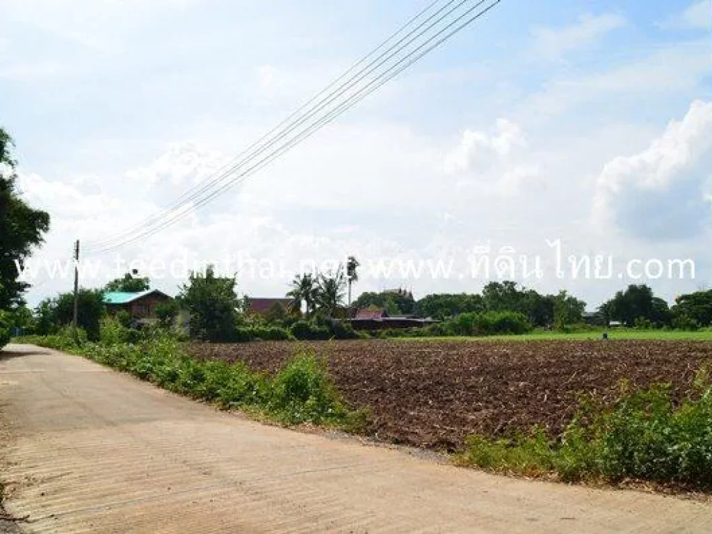 ขายที่่ดินลพบุรี - ที่ดินไทย 4 ไร่เศษ โฉนด ตโก่งธนู อเมืองลพบุรี จลพบุรี รหัส1984