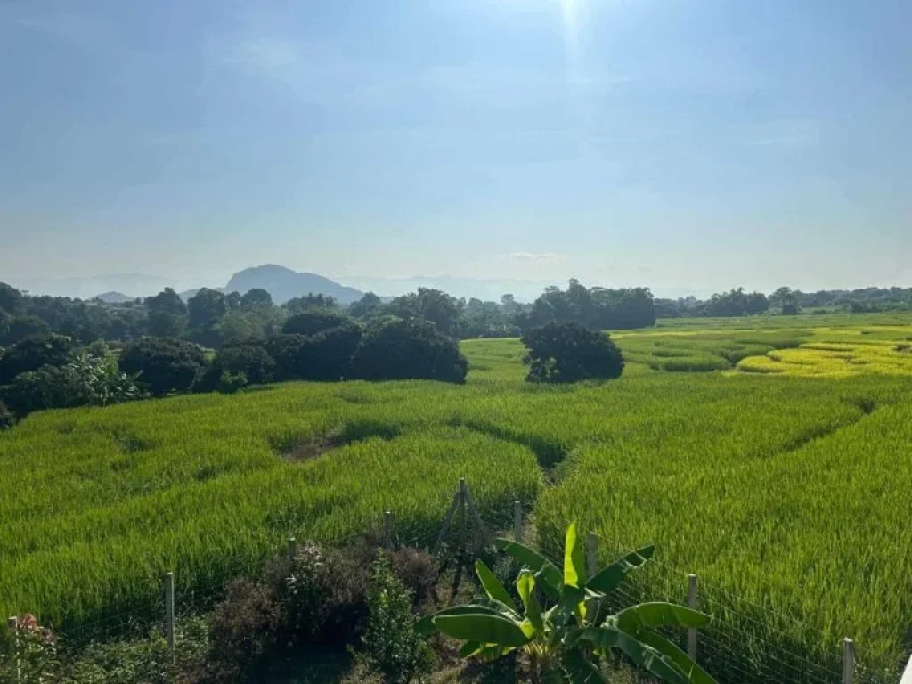 ขายถูกมาก บ้านพร้อมที่ดิน 12 ไร่ วิวภูเขาสวย บรรยากาศดี