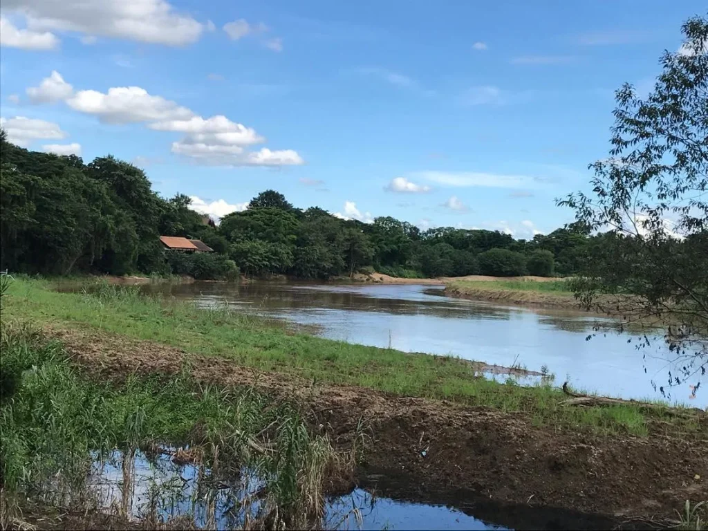 ที่ดินติดริมน้ำปิงในเขตเมืองเชียงใหม่