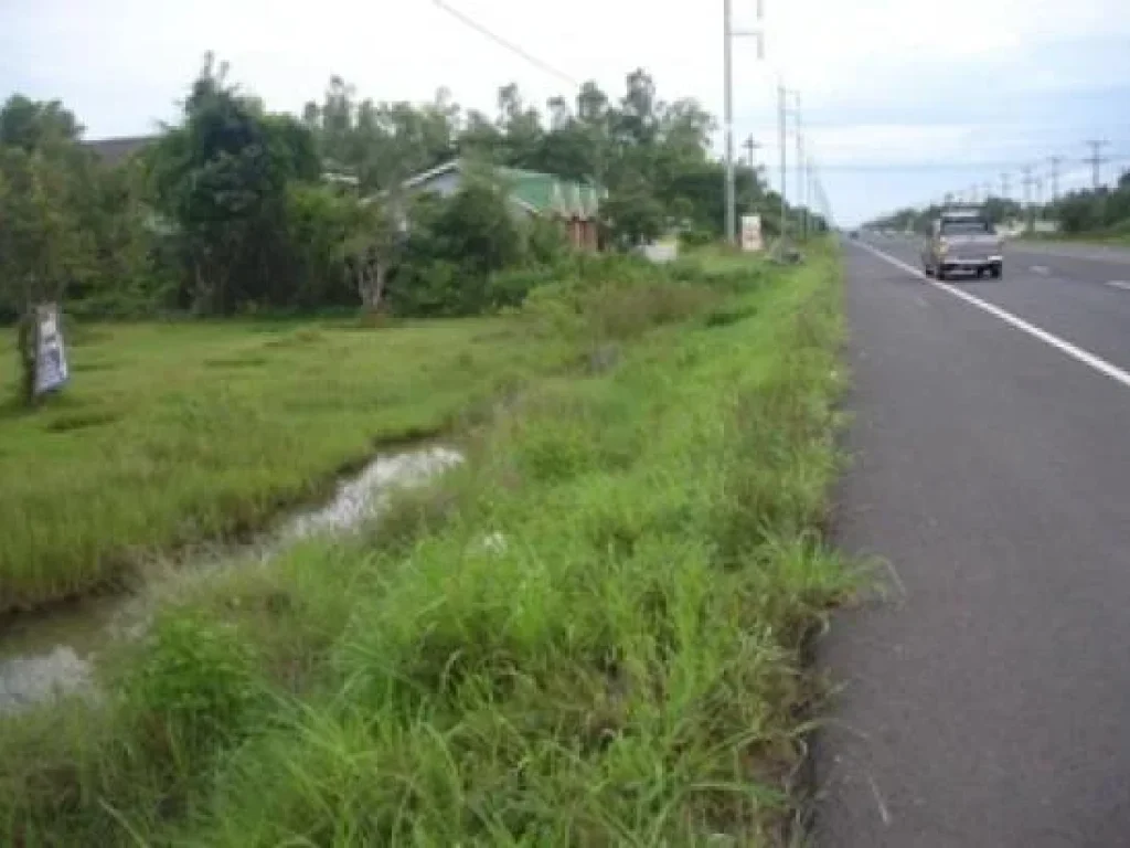 ขายที่งามๆ ติดถนนสายหลัก 4เลนอุบลตระการ