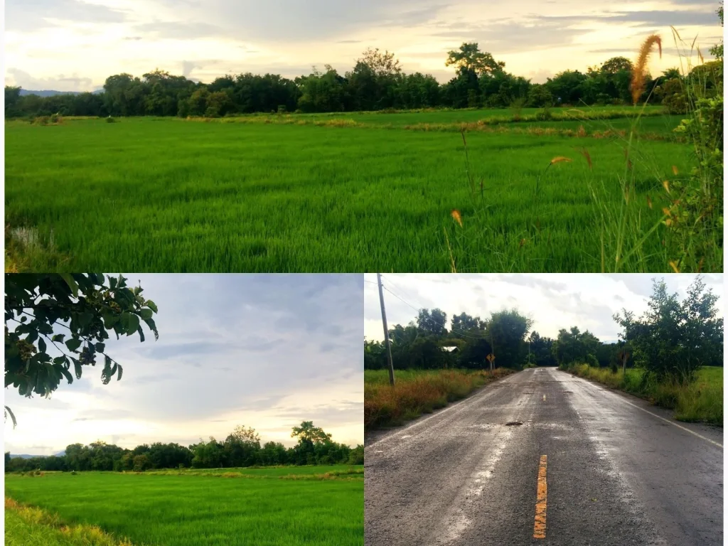 ขายที่ดินบรรยากาศดี วิวธรรมชาติ เนื้อที่ 3ไร่ ตั้งอยู่ที่ ตสาริกา อเมือง จนครนายก ห่างจากตัวเมืองนครนายกประมาณ 4กม