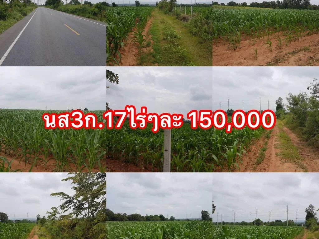 ขายที่ดิน17 ไร่ๆละ 150000