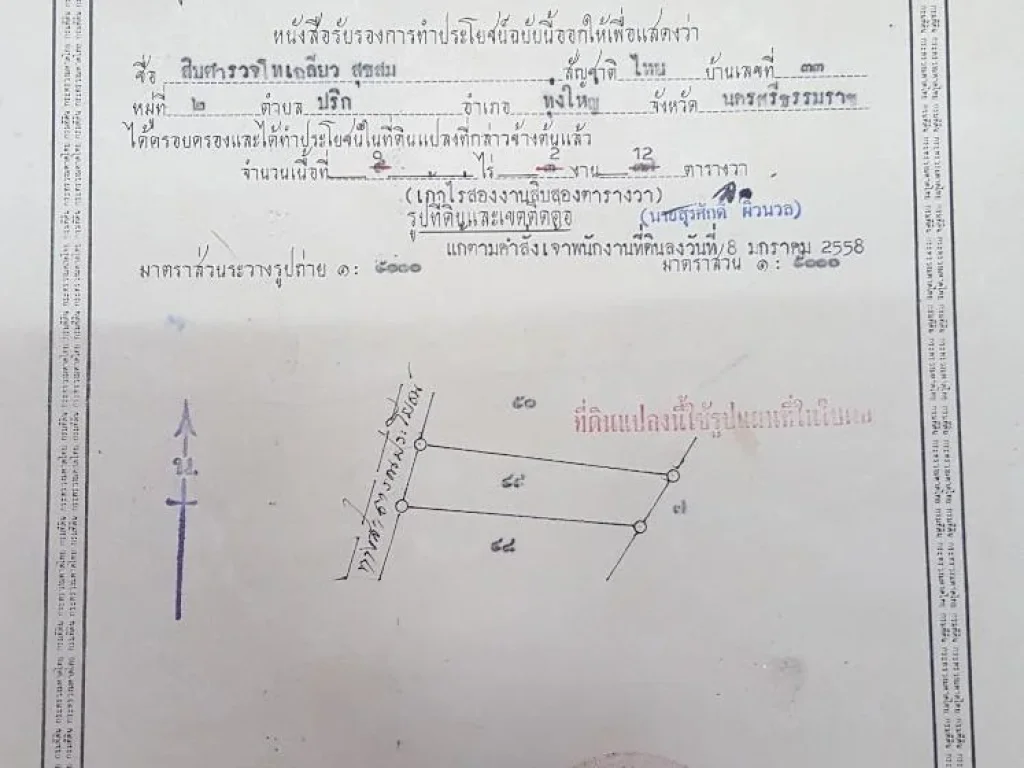 ขายที่ดินสวนปาล์ม 9 ไร่