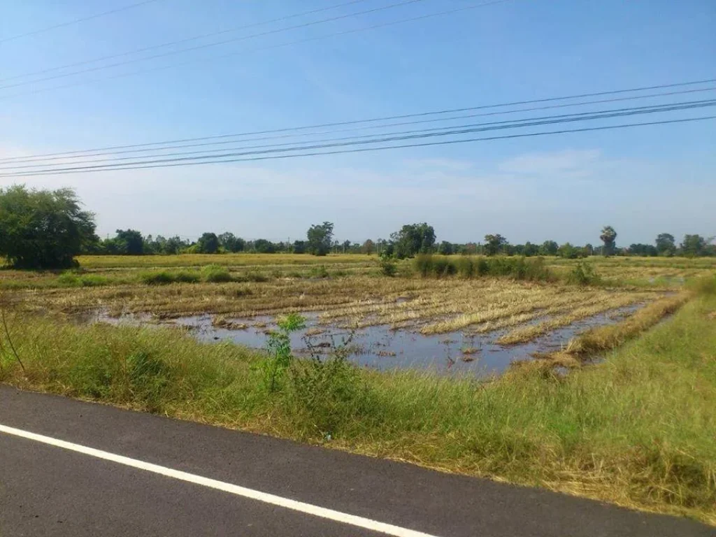 ขายที่ดินเปล่า บุรีรัมย์