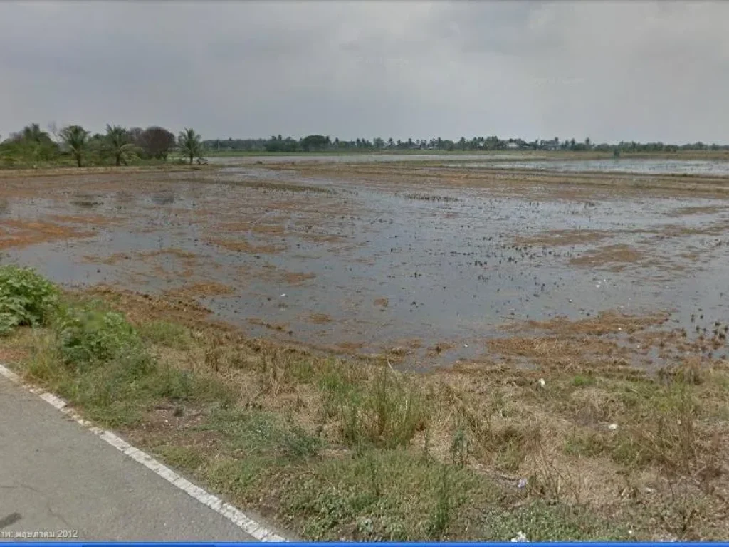 ขายที่ดิน ตระแหง อลาดหลุมแก้ว จปทุมธานี 19ไร่