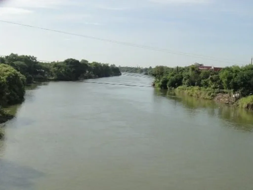 ขายให้เช่า ที่ดินติดแม่น้ำเจ้าพระยา ใกล้วัดท่าการ้อง อยุธยา