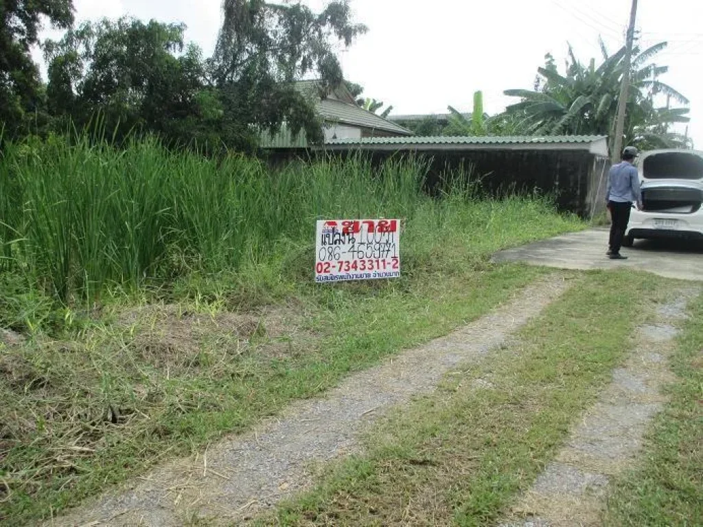 ขายที่ดินพหลโยธิน 541 แยก 4-33 ซอยหินอ่อน3 วัดเกาะ คลองถนนดอนเมือง