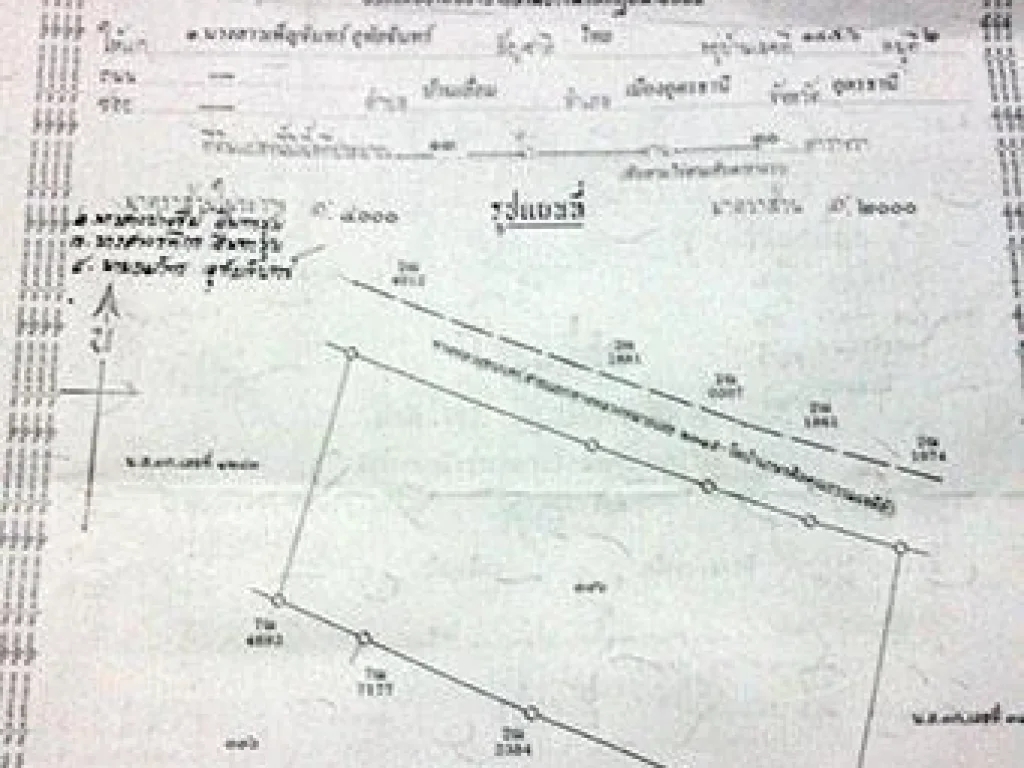 ขายที่ดิน 13 ไร่ 30 ตรว ทางขึ้นวัดเกษรศิลคุณธรรมเจดีย์ วัดภูผาแดง ตหนองอ้อ อหนองวัวซอ จอุดรธานี