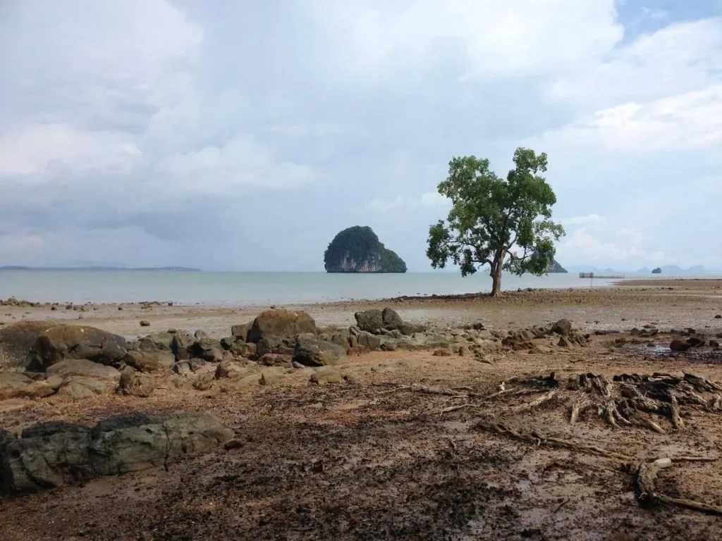 ที่ติดทะเลเกาะลันตา จกระบี่ 13 ไร่