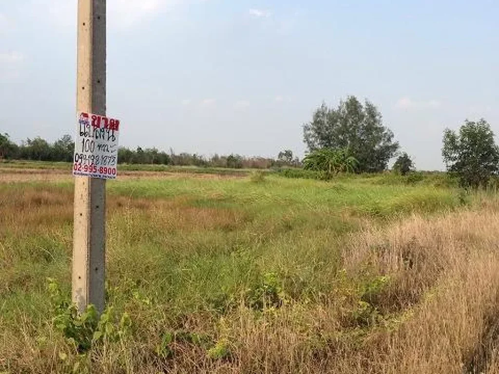 ขายที่ดินแขวงบึงบา เขตหนองเสือ ปทุมธานี ธัญญบุรี