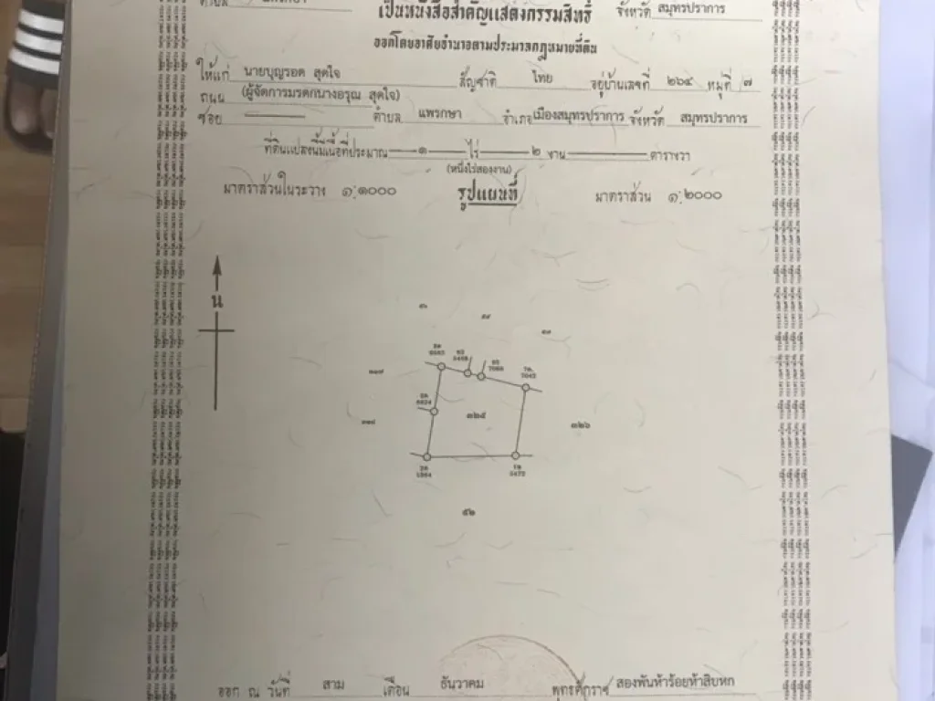 ขายที่ดิน ตแพรกษา ซอยสุดใจ อเมือง จสมุทรปราการ ถมแล้ว ประกอบกิจการได้เลย