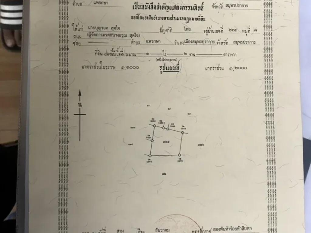 ขายที่ดิน ตแพรกษา ซอยสุดใจ อเมือง จสมุทรปราการ ถมแล้ว ประกอบกิจการได้เลย