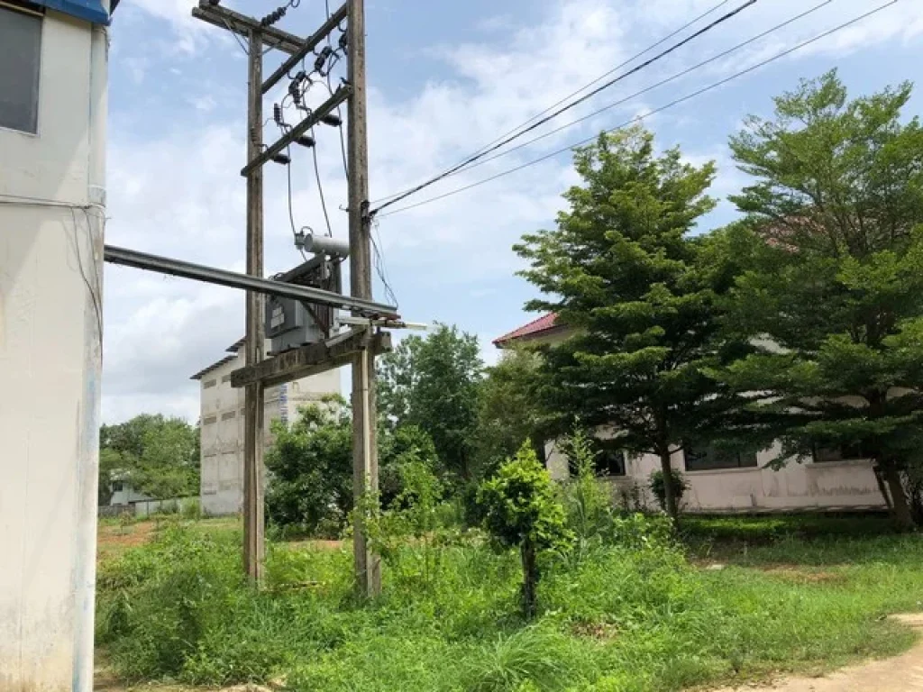 ขาย ที่ดิน 13 ไร่ พร้อมบ้านและโรงงาน ดำเนินกิจการต่อได้เลย