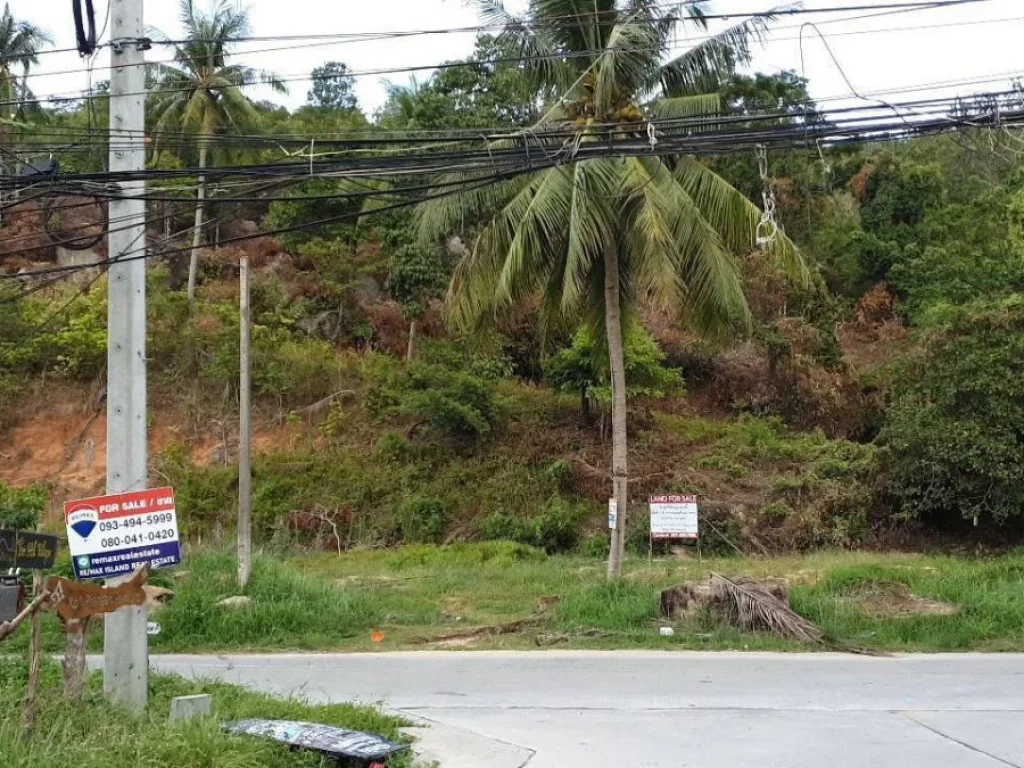 ขาย ที่ดิน ขนาด 3 ไร่ อำเภอเกาะพงัน จังหวัดสุราษฎร์ธานี