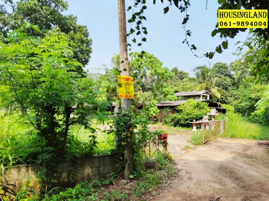 ขายถูก ที่ดินพร้อมบ้านและโรงเรือน 6 ไร่ เมืองแกลง ถนนสุขุมวิท ระยอง