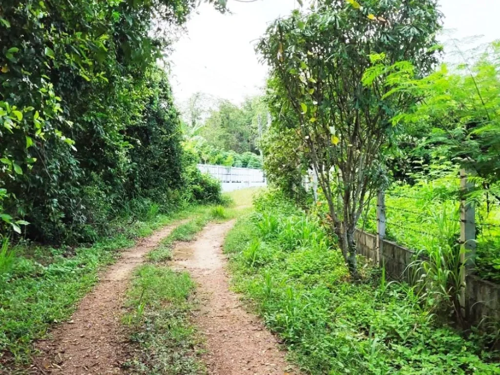 ขายถูก ที่ดินพร้อมบ้านและโรงเรือน 6 ไร่ เมืองแกลง ถนนสุขุมวิท ระยอง