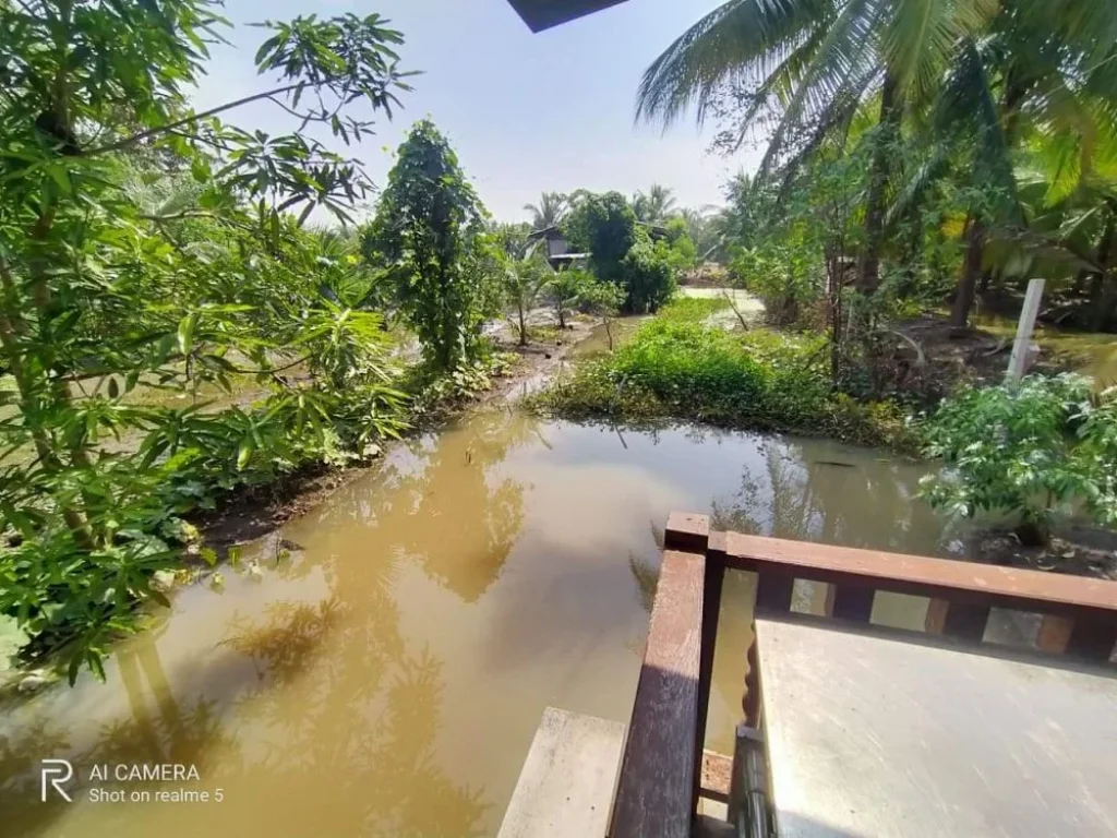 ที่ดิน212ตรว พร้อมบ้านริมคลองสวย อยู่บ้านปรก อเมือง สมุทรสงคราม บ้านริมคลองบรรยากาศดีๆ มี3ห้องนอน 2ห้องน้ำ