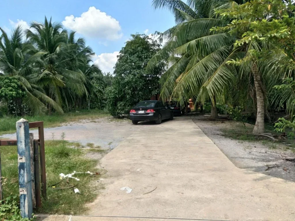 ที่ดิน212ตรว พร้อมบ้านริมคลองสวย อยู่บ้านปรก อเมือง สมุทรสงคราม บ้านริมคลองบรรยากาศดีๆ มี3ห้องนอน 2ห้องน้ำ