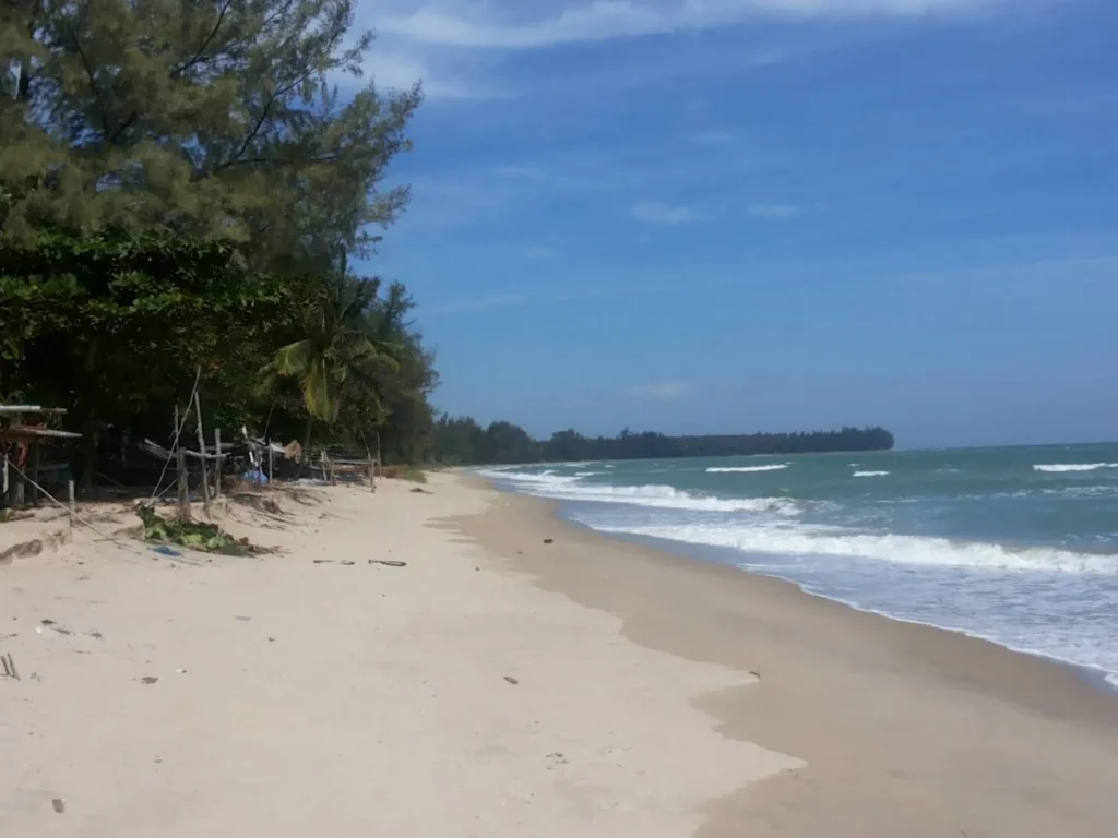 ขาย เช่า ที่ดินชายหาดใกล้ทับสะแก ถมสูงเรียบร้อยแล้ว เหมาะทำห้องเช่าหรือบ้านพักตากอากาศ