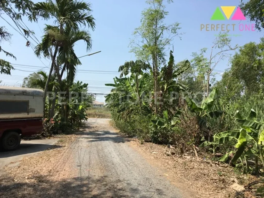 ที่ดิน100 ตรว ซอยร่วมสุขสรงประภา-ติวานนท์