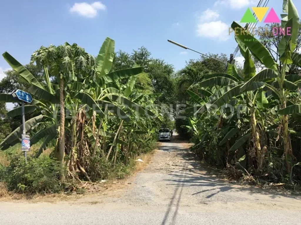 ที่ดิน100 ตรว ซอยร่วมสุขสรงประภา-ติวานนท์