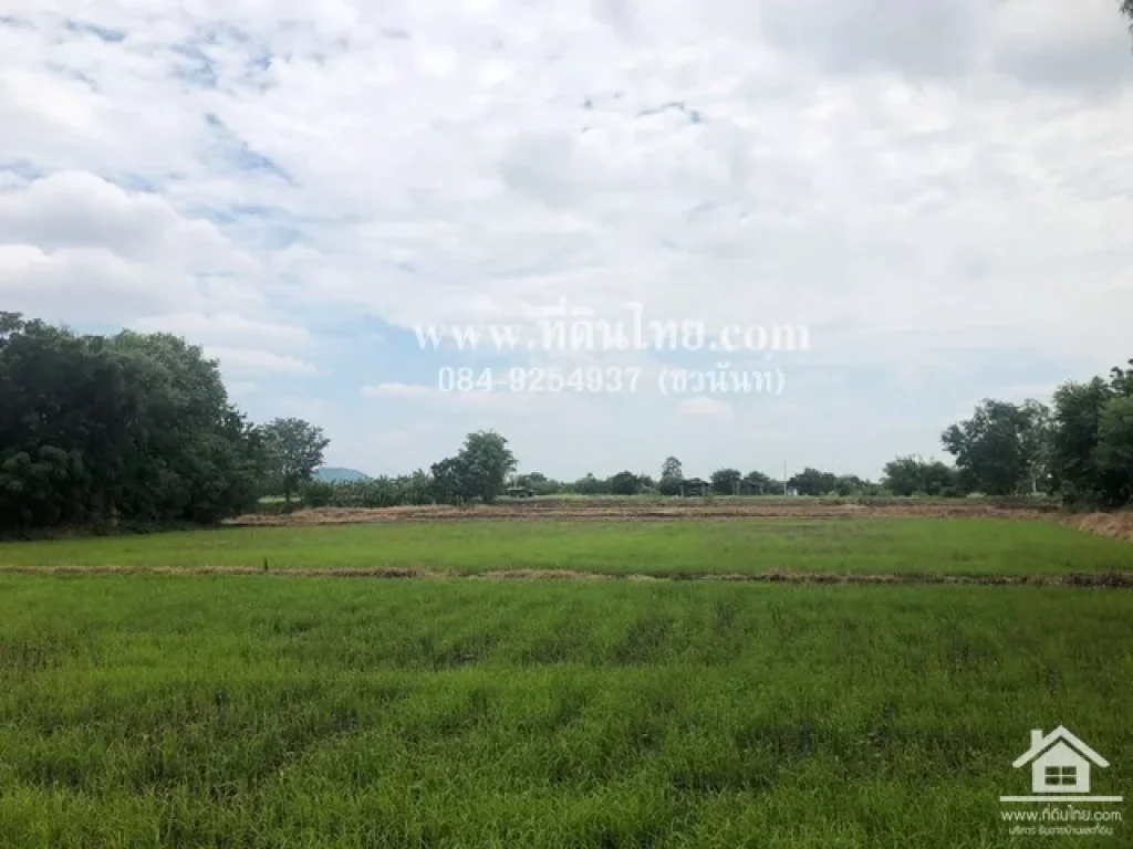 ขายที่ดินพระพุทธบาท-ขายที่ดินสระบุรี 13ไร่ 2งาน 44ตรวโฉนด ตหนองแก อพระพุทธบาท จสระบุรี รหัส L291