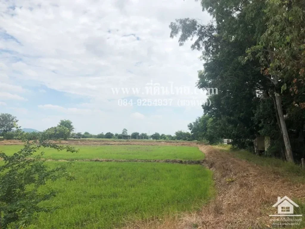 ขายที่ดินพระพุทธบาท-ขายที่ดินสระบุรี 13ไร่ 2งาน 44ตรวโฉนด ตหนองแก อพระพุทธบาท จสระบุรี รหัส L291