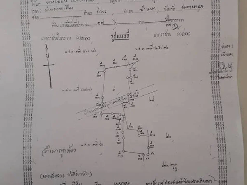 ขายที่ดิน จังหวัดนครนายก บ้านนา 5ไร่ 2งาน 83ตรว ตรงข้ามที่ว่าการ ซโรงแรมดวงตะวัน โทร 0812931531