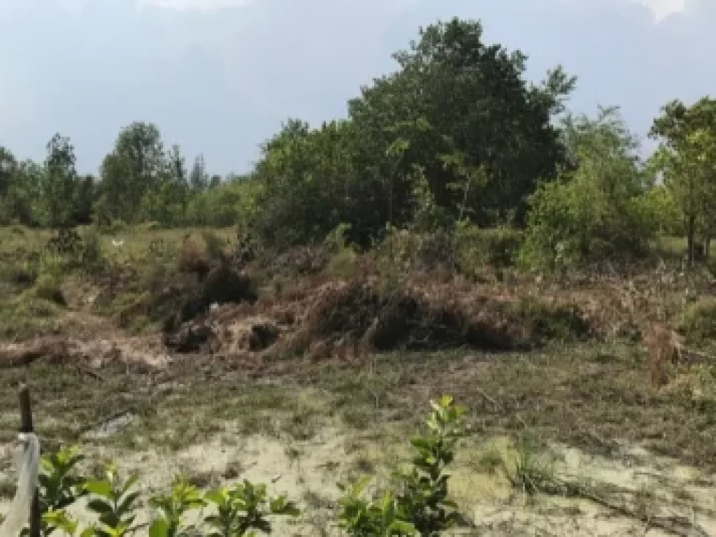 ขายที่ดิน ถนน เพชรเกษม ประจวบคีรีขันธ์ Real Estate Land for sale Prachuap Khiri Khan Province 51 rai 550000 per rai