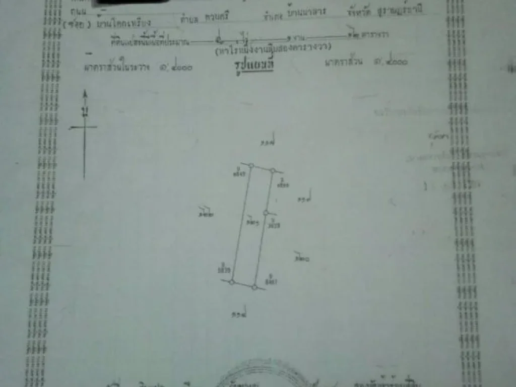 ขายด่วนที่ดินพร้อมสวนยางตัดได้