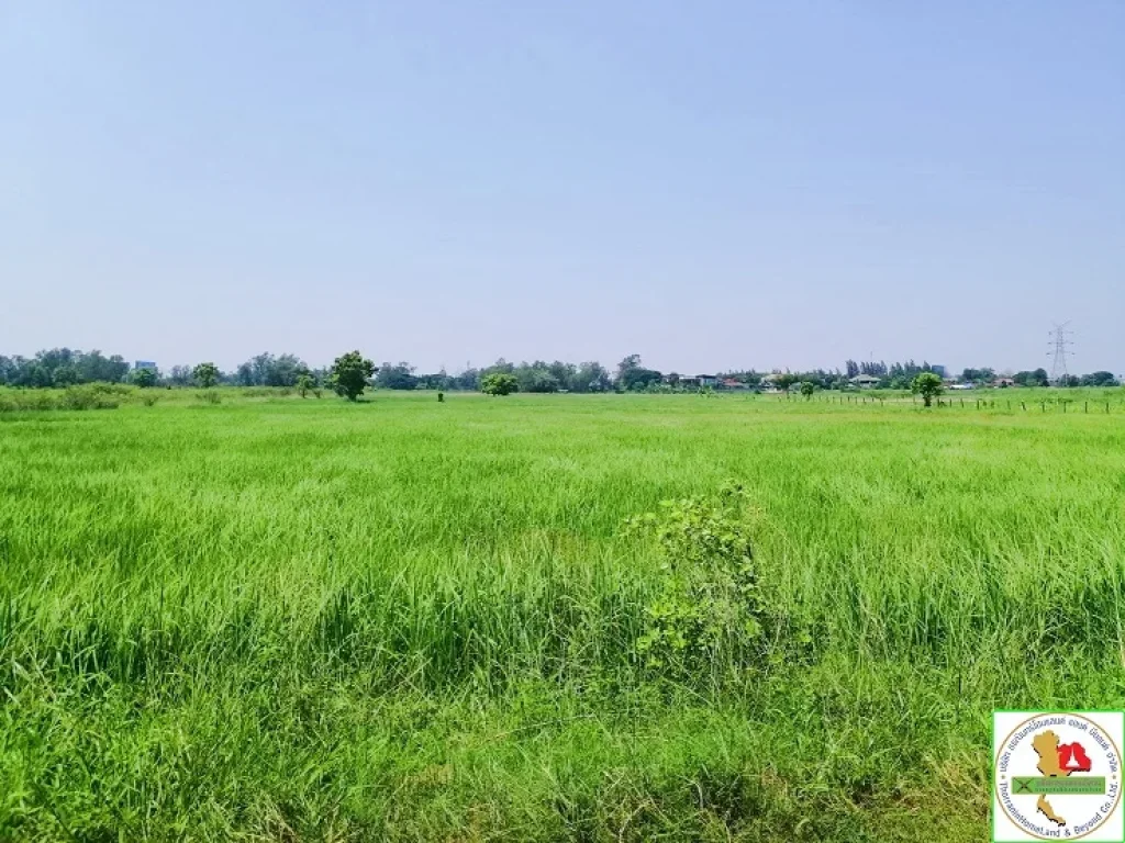 ที่ดินติดบึงหนองขุ่น บ้านโนนตุ่น ใกล้ บช ทวี อเมืองขอนแก่น