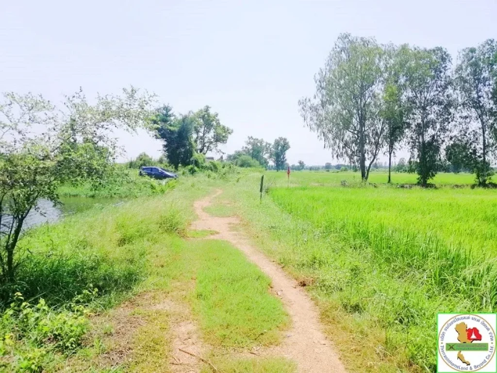 ที่ดินติดบึงหนองขุ่น บ้านโนนตุ่น ใกล้ บช ทวี อเมืองขอนแก่น