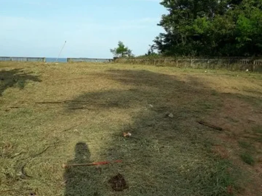 ขายที่ดินแบ่งแปลงขายได้ ติดหาดสะพลี ชุมพร ใกล้หาดทุ่งวัวแล่น เนื้อที่ 264 ตรวา มี 2 แปลง