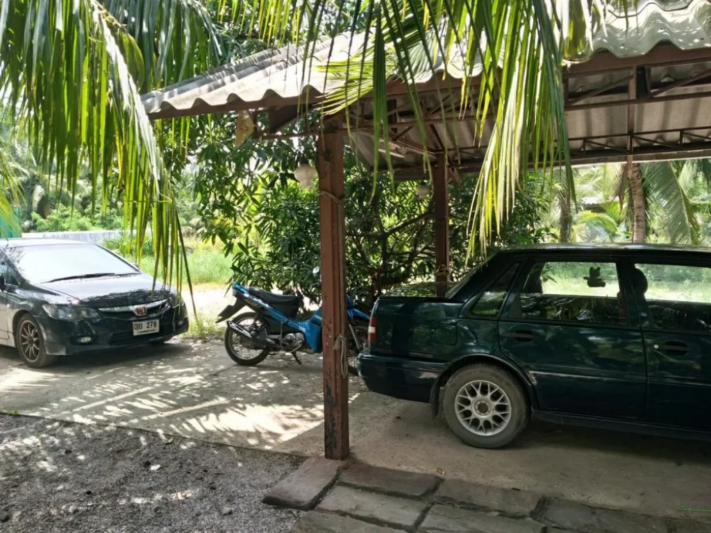 ที่ดิน224ตรว พร้อมบ้านริมคลองสวย อยู่บ้านปรก อเมือง สมุทรสงคราม บ้านริมคลองบรรยากาศดีๆ มี3ห้องนอน 2ห้องน้ำ