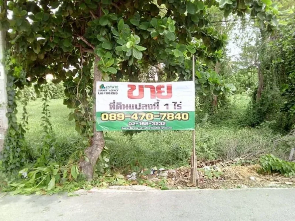 ขาย ที่ดินเปล่า 1 ไร่ ติดถนน 2 ด้าน ปากเกร็ด นนทบุรี บรรยากาศดี