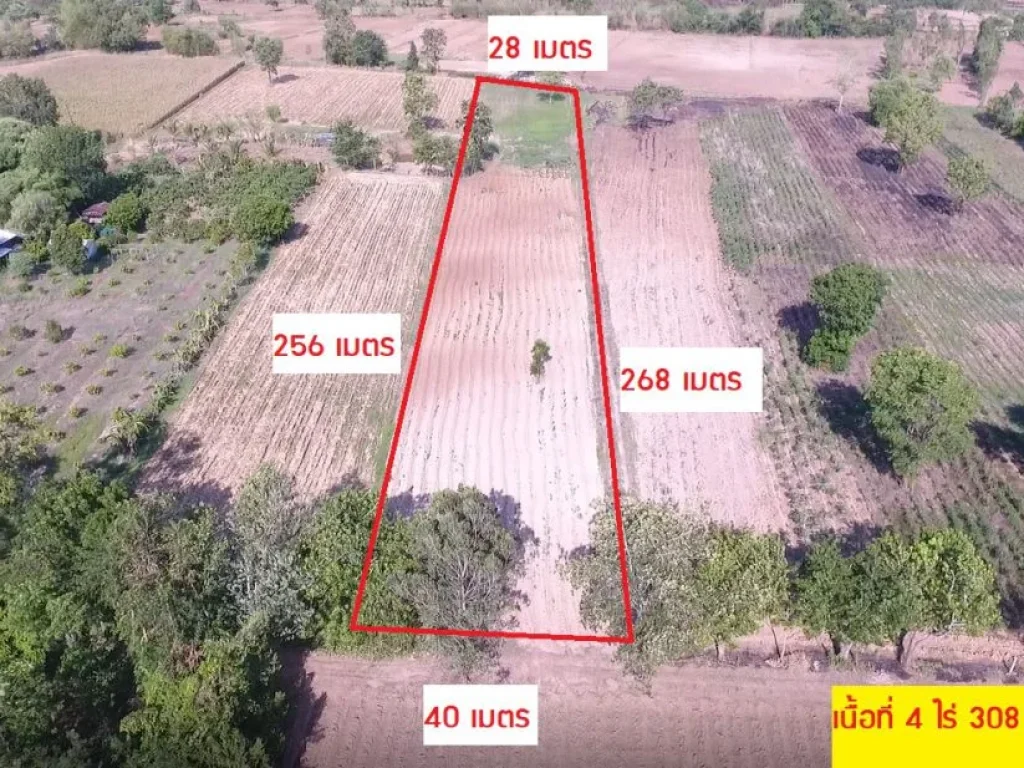 ขายที่ดิน โฉนด 4ไร่ 308ตรว อเขาฉกรรจ์ จสระแก้ว