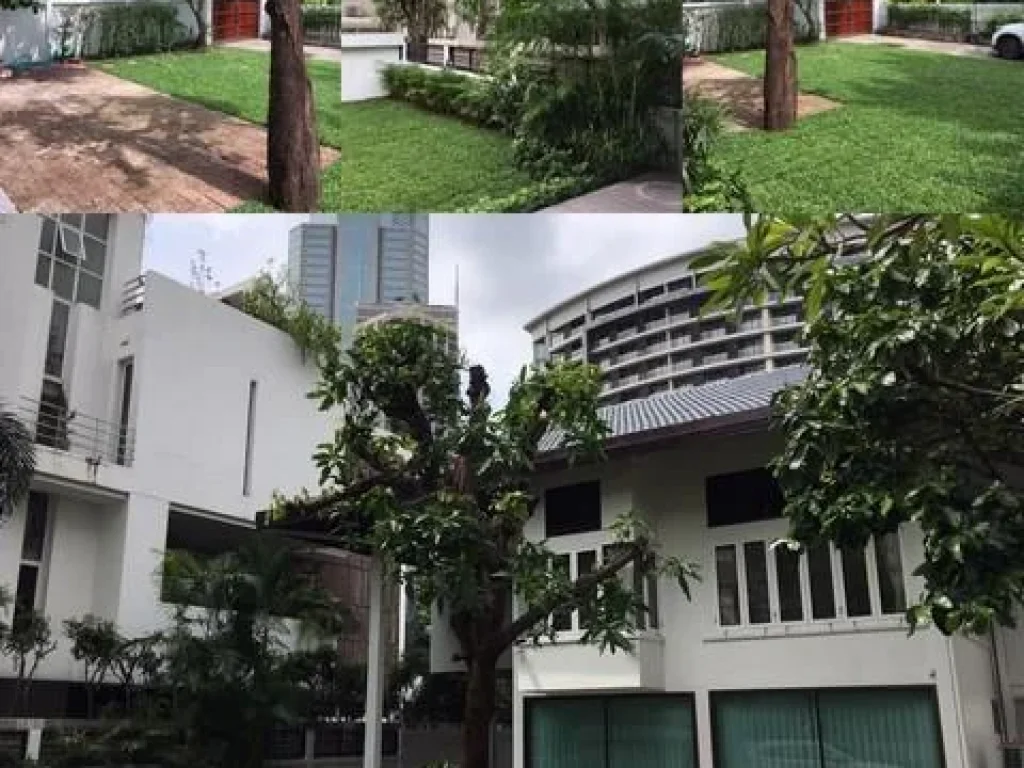 For Rent บ้านเดี่ยว พร้อมอยู่ ซอยร่วมฤดี ใกล้BTSเพลินจิต และMRTลุมพินี