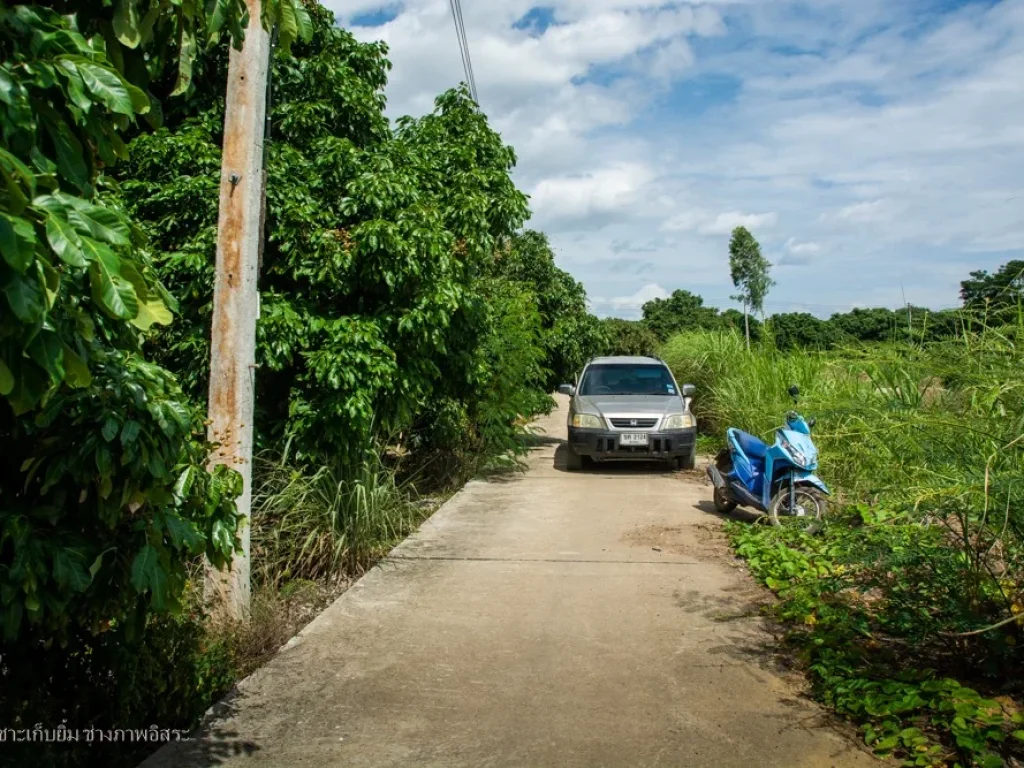 ที่ดินสันป่าตอง 3 งานกว่า ที่สวยติดถนนน้ำไฟพร้อม 550000