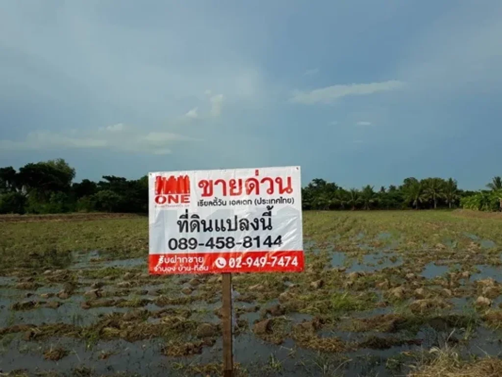 ขายที่ดินด่วน ใกล้อนุสาวรีย์ดอนเจดีย์ อดอนเจดีย์ จสุพรรณ 8 ไร่