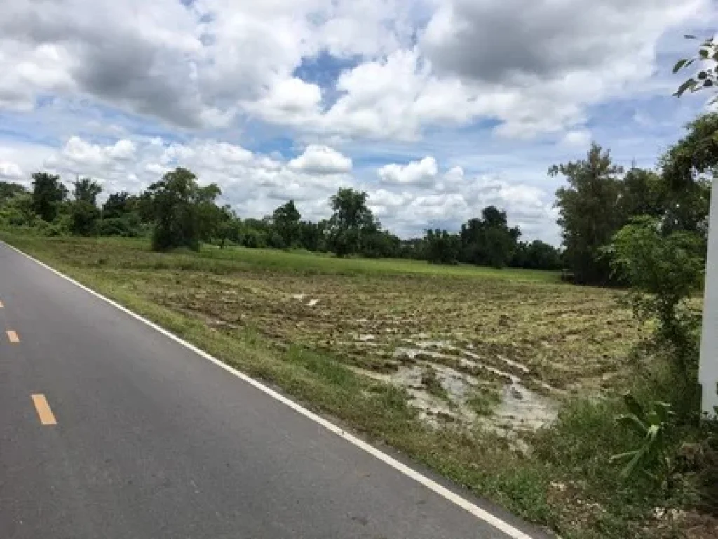 ขายด่วน ที่ดินสวย เนื้อที่ 5 ไร่ ขายยกแปลง ย่านจังหวัดสระบุรี