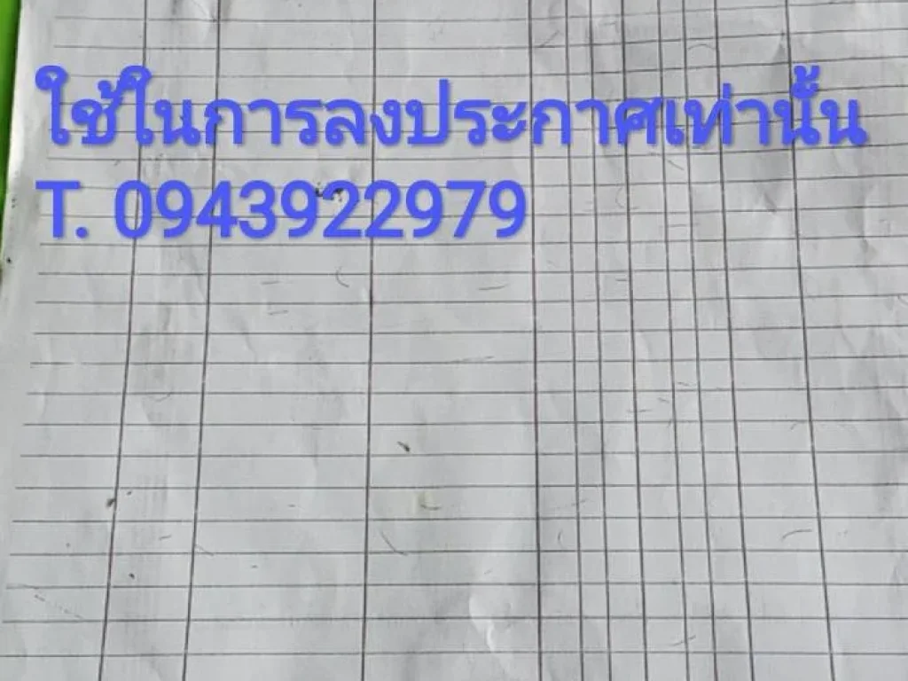 ที่ดินมีโฉนด ติดถนน ใกล้แหล่งชุมชน อหันคา จชัยนาท