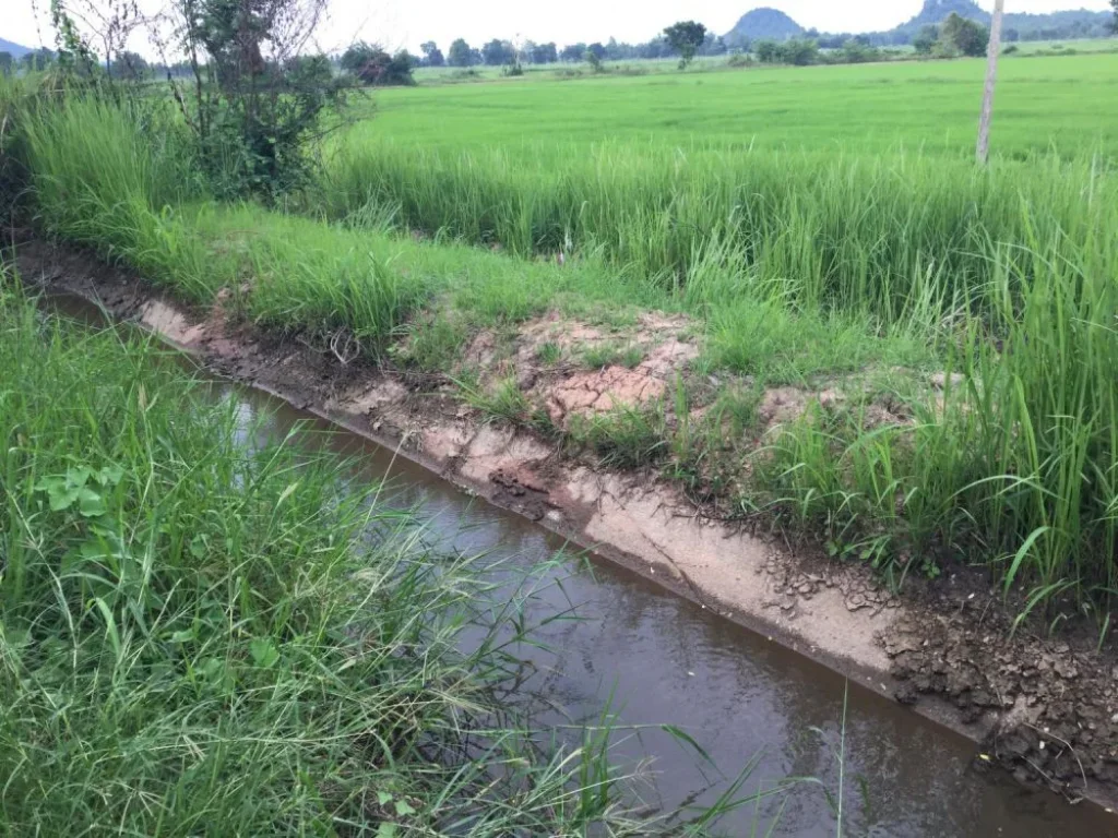 ที่ดินโฉนดสวย ติดถนนลาดยาง 2ไร่ ราคาขายยกแปลง 750000 บาท