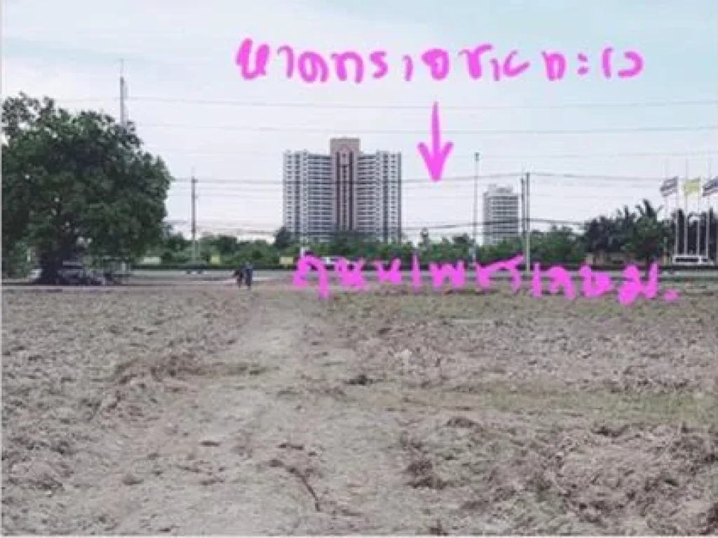 Land For Sale ที่ดิน 45 ไร่ พื้นที่สีเหลือง ตรงข้ามกับหมู่บ้านคาซ่า ดีไซด์ ชะอำ วิลล่า ใกล้ทะเล