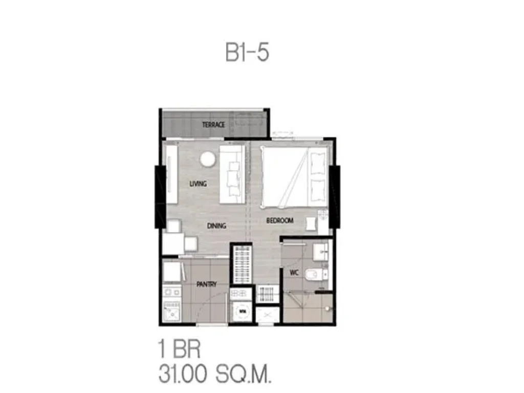 ขายด่วน ห้องวิวแม่น้ำ 31 SQM สุขุมวิท แบริ่ง โทร 0914545599