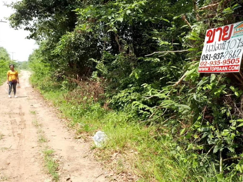 ขาย ที่ดิน ใกล้หมู่บ้านทุ่งใหญ่ ถนนหาดใหญ่-ปัตตานี จะนะ สงขลา