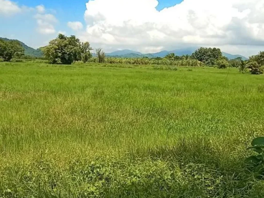 ที่สวยวิวเขาติดถนนดำทำบ้านพักรีสอร์ท