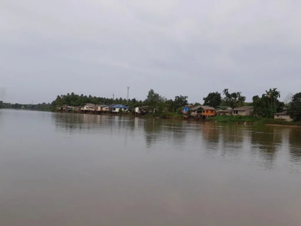 ประกาศขายที่ดินสวนมะพร้าว ติดริมแม่น้ำตาปี