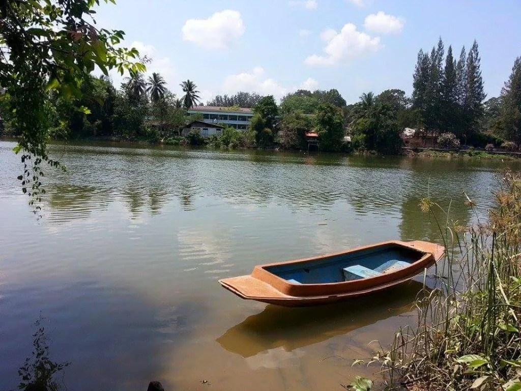 ประกาศขายที่ดินสวนมะพร้าว ติดริมแม่น้ำตาปี