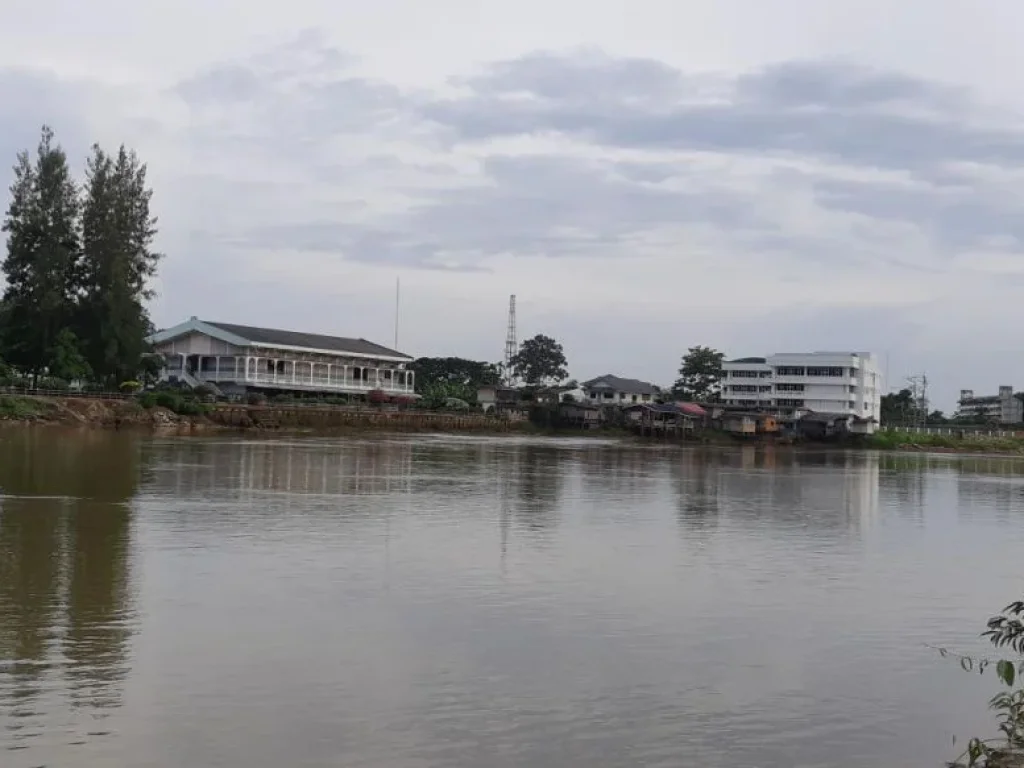 ประกาศขายที่ดินสวนมะพร้าว ติดริมแม่น้ำตาปี